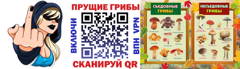Псилоцибиновые грибы Psilocybe  Зеленодольск 
