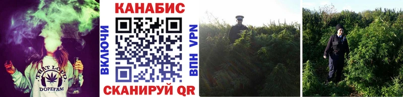 сколько стоит  Зеленодольск  Бошки марихуана THC 21% 